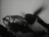 Видео о Heinkel He-111